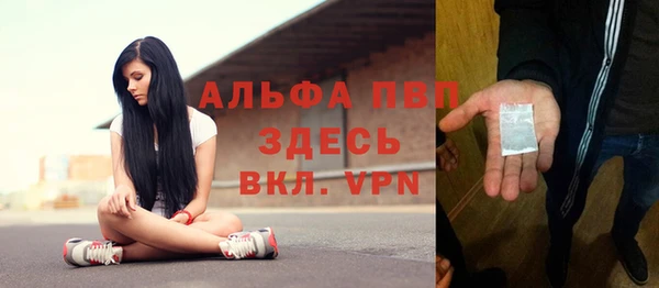 a pvp Абаза