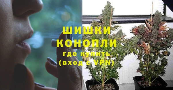 эйфоретик Новозыбков