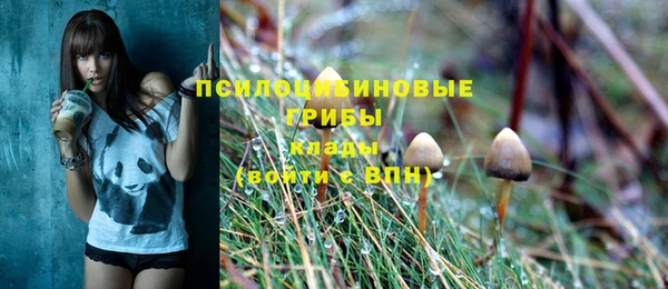 эйфоретик Новозыбков