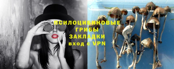 крисы Новокубанск